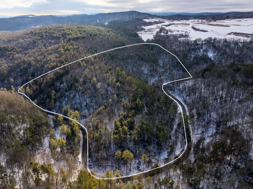 00 Brook Rd, Shelburne, Massachusetts, ,Land,For Sale,Brook Rd,73467827