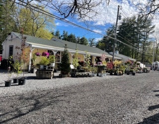Commercial Sale