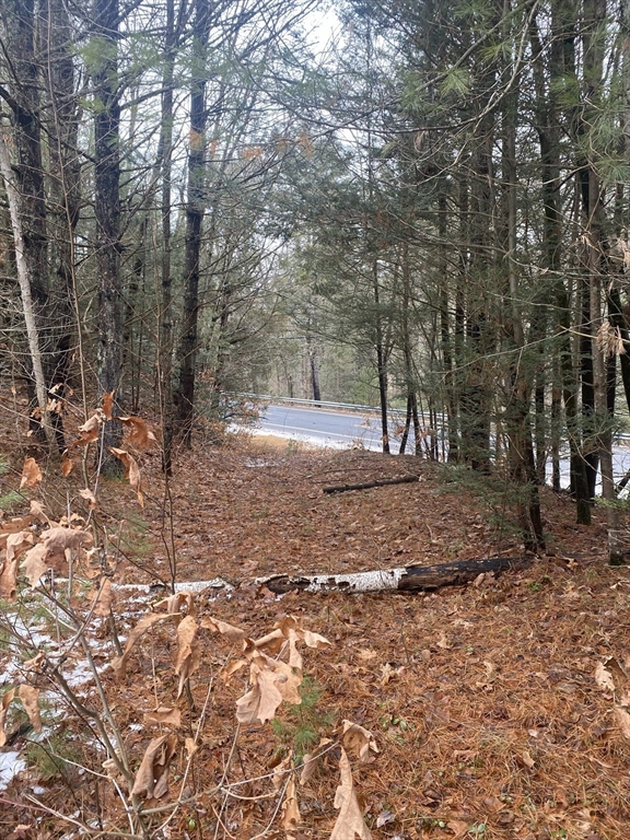 Lots 1&2 Wales Rd, Brimfield, Massachusetts, ,Land,For Sale,Wales Rd,73468266