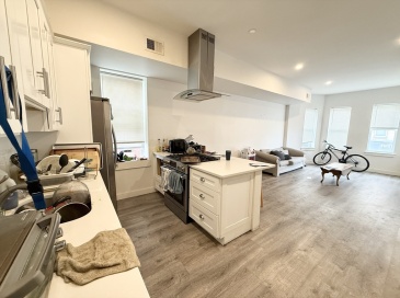 301-305 Dudley St, Boston, Massachusetts, 4 Bedrooms Bedrooms, 7 Rooms Rooms,2 BathroomsBathrooms,Residential Lease,For Rent,Dudley St,73378171