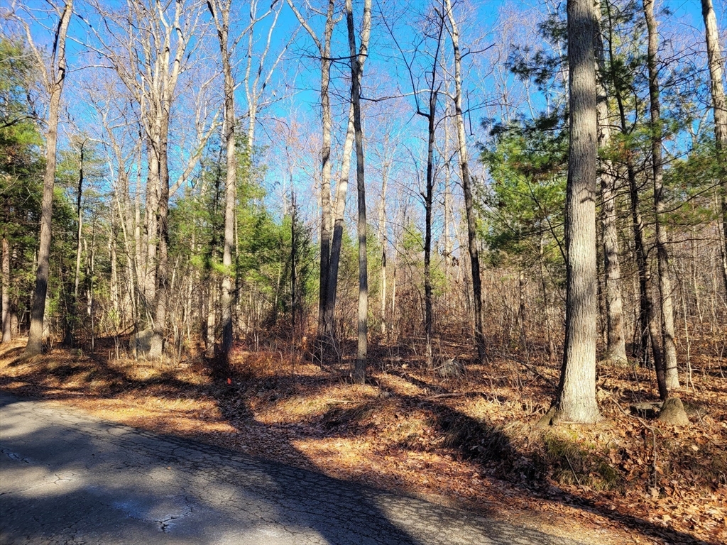 28 Devils Lane (Lot 3), Brimfield, Massachusetts, ,Land,For Sale,Devils Lane (Lot 3),73468603