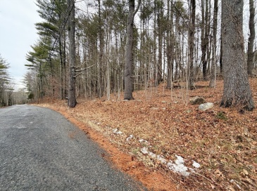 Lot 15 Hastings Road, Spencer, Massachusetts, ,Land,For Sale,Hastings Road,73468973