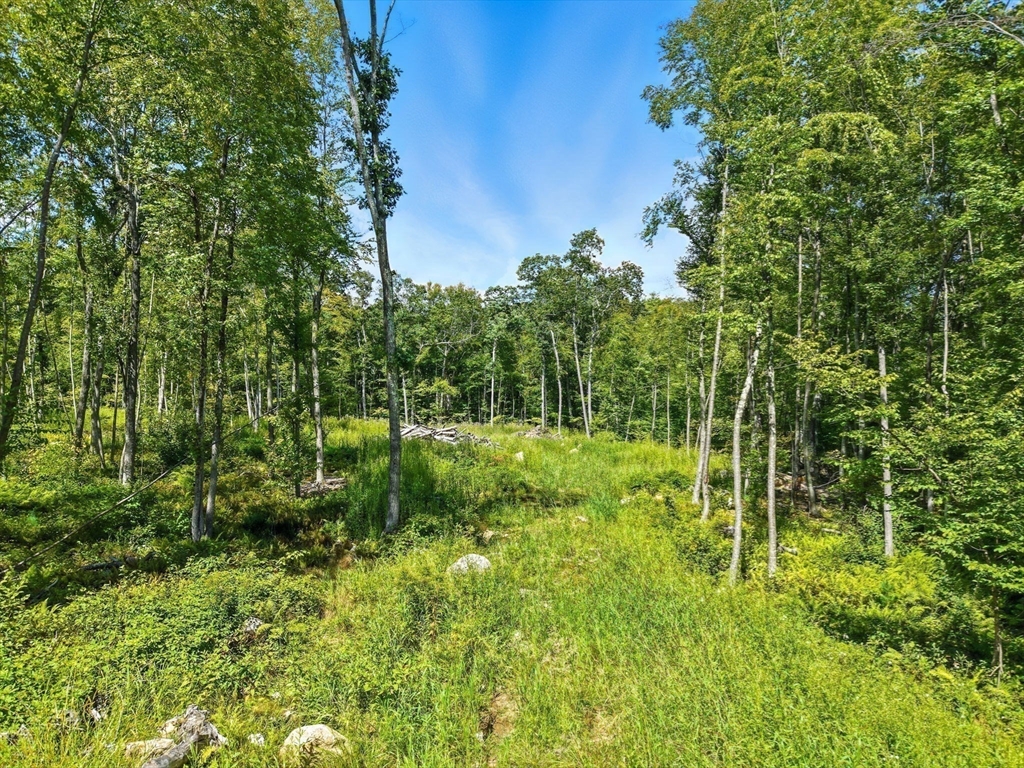 25 Milk Street, Blackstone, Massachusetts, ,Land,For Sale,Milk Street,73435809