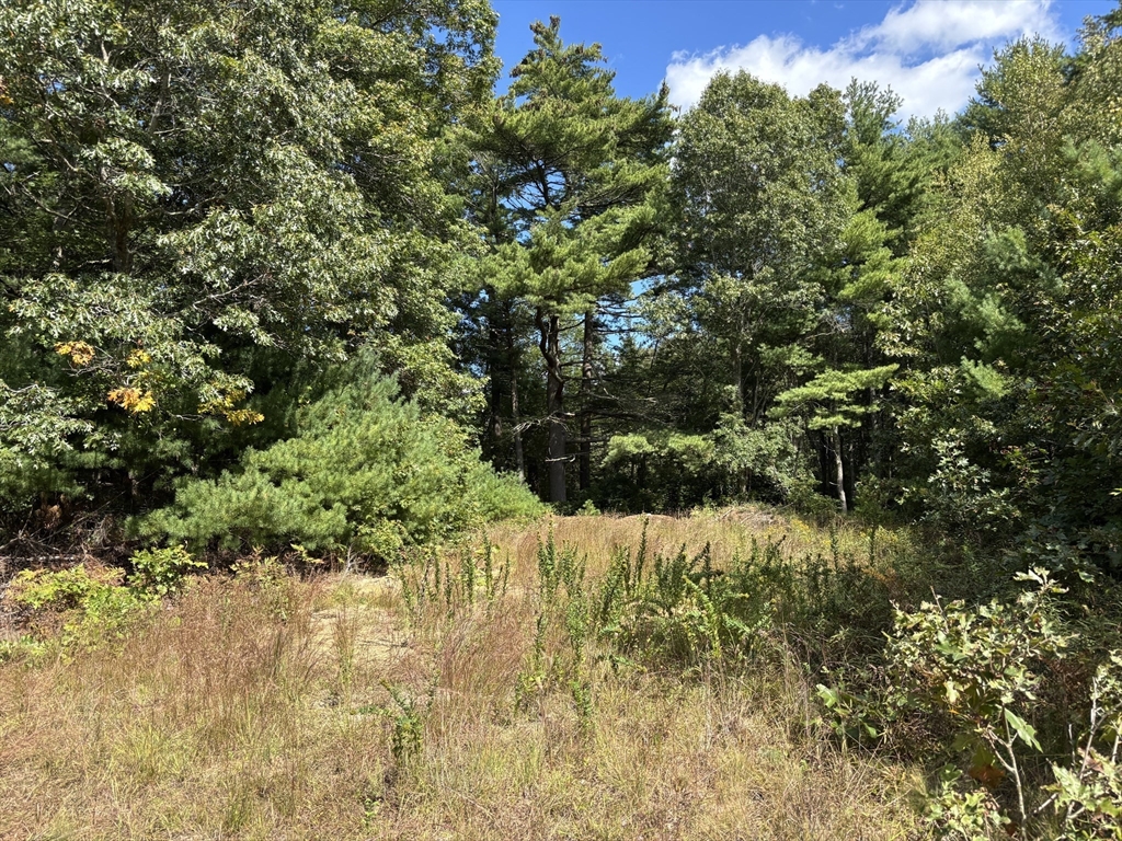 19 Rochester Rd Lot 3, Carver, Massachusetts, ,Land,For Sale,Rochester Rd Lot 3,73434543