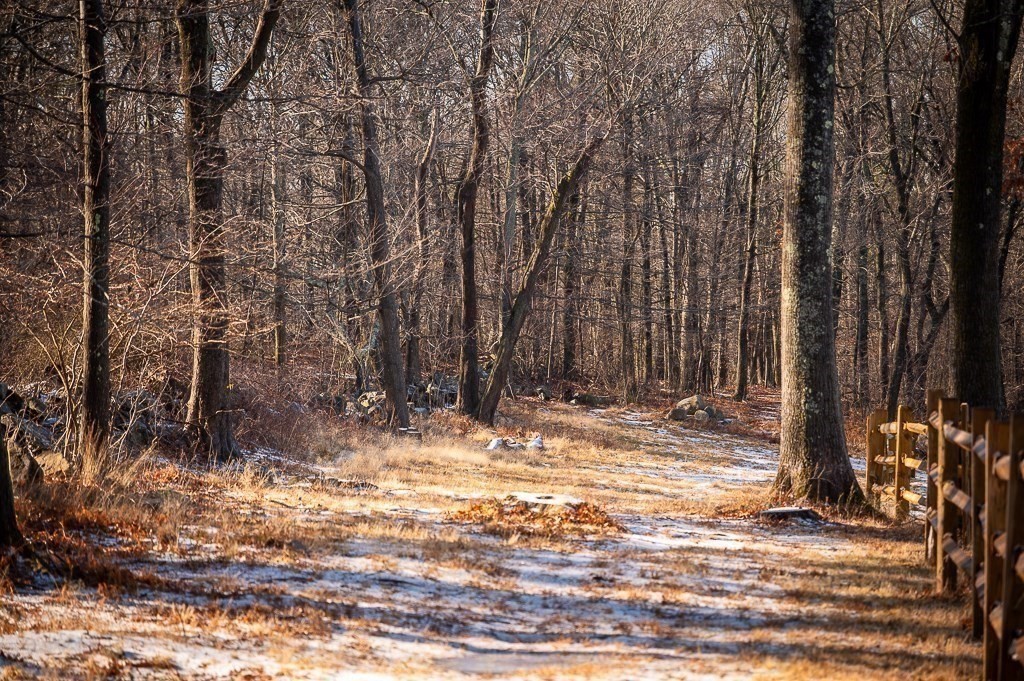 0 Belcher, Essex, Massachusetts, ,Land,For Sale,Belcher,73470049