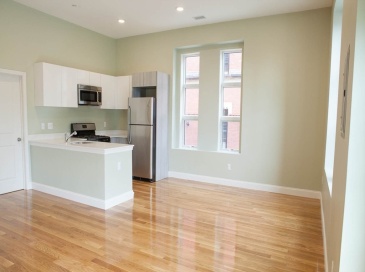409 Dudley St, Boston, Massachusetts, 3 Bedrooms Bedrooms, 6 Rooms Rooms,2 BathroomsBathrooms,Residential Lease,For Rent,Dudley St,73470137