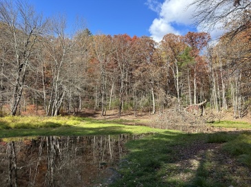 723 Lot B Ryan Rd, Northampton, Massachusetts, ,Land,For Sale,Ryan Rd,73470293 723 Lot B Ryan Rd, Northampton, Massachusetts, ,Land,For Sale,Ryan Rd,73470293
