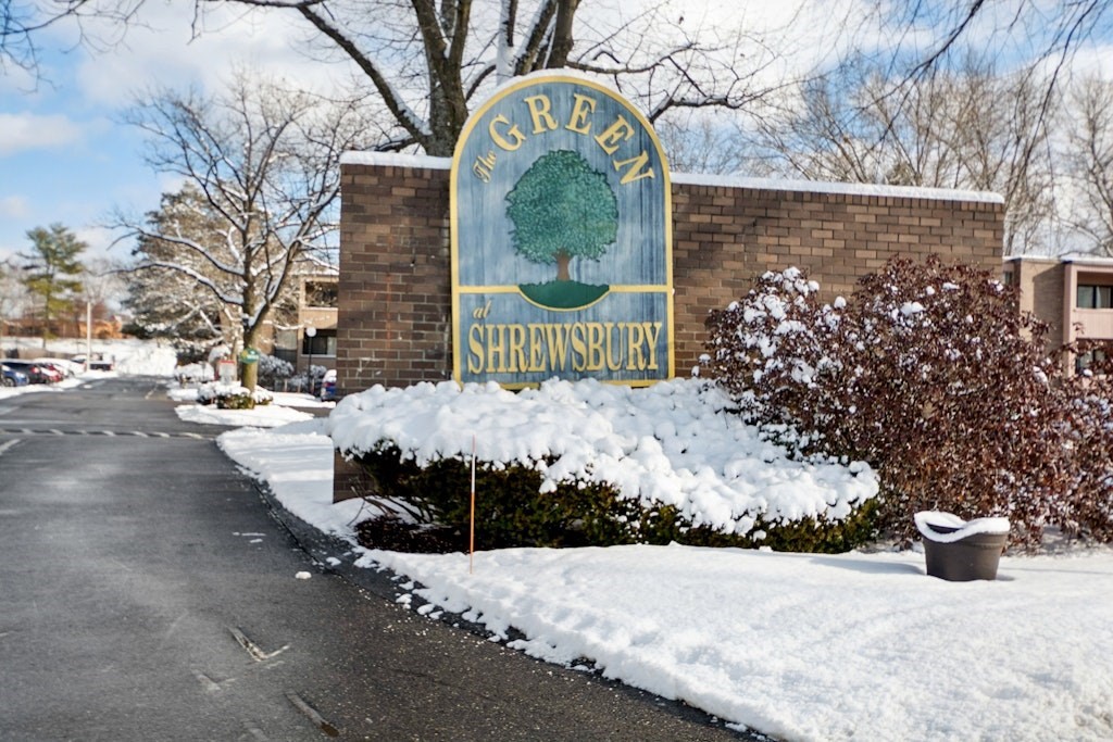 18 Shrewsbury Green Dr, Shrewsbury, Massachusetts, 1 Bedroom Bedrooms, 3 Rooms Rooms,1 BathroomBathrooms,Residential,For Sale,Shrewsbury Green Dr,73470381