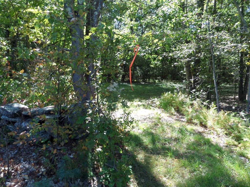 0 Stage Road, Chesterfield, Massachusetts, ,Land,For Sale,Stage Road,73433439