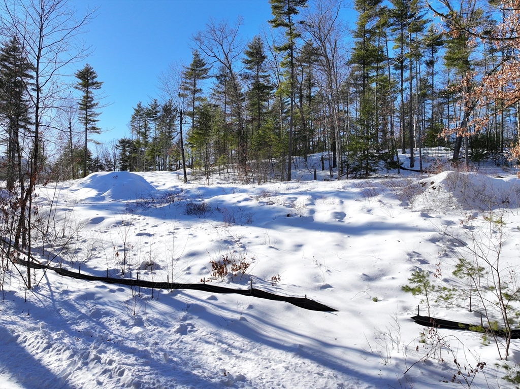 Lot 3 Maple Ave, Groton, Massachusetts, ,Land,For Sale,Maple Ave,73471542