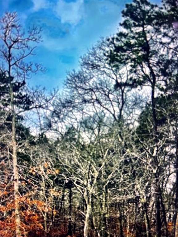 2 Old Farms Trail, Edgartown, Massachusetts, ,Land,For Sale,Old Farms Trail,73471673