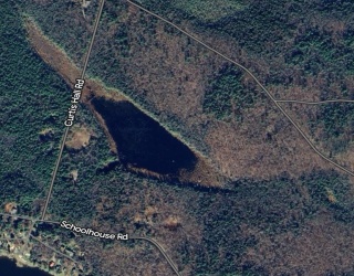 0 Curtis Hall Rd, Blandford, Massachusetts, ,Land,For Sale,Curtis Hall Rd,73425043