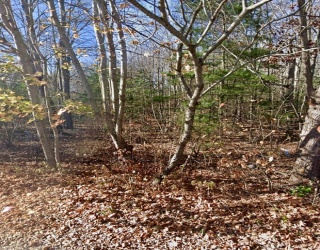 16 Mudnock Rd, Salisbury, Massachusetts, ,Land,For Sale,Mudnock Rd,73358668