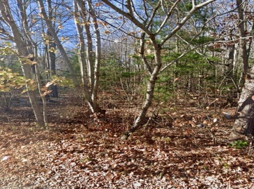 16 Mudnock Rd, Salisbury, Massachusetts, ,Land,For Sale,Mudnock Rd,73358668