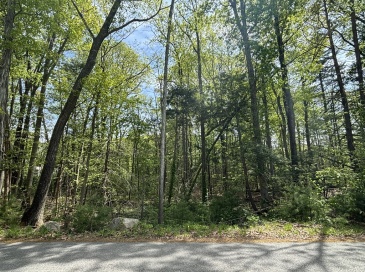 0 Mt Blue, Norwell, Massachusetts, ,Land,For Sale,Mt Blue,73374335