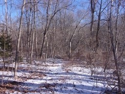 90 Chestnut Hill Road, Millville, Massachusetts, ,Land,For Sale,Chestnut Hill Road,73473820