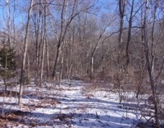 90 Chestnut Hill Road, Millville, Massachusetts, ,Land,For Sale,Chestnut Hill Road,73473820