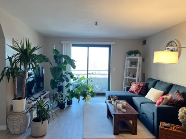 376 Ocean Ave, Revere, Massachusetts, 2 Bedrooms Bedrooms, 4 Rooms Rooms,2 BathroomsBathrooms,Residential Lease,For Rent,Ocean Ave,73465697