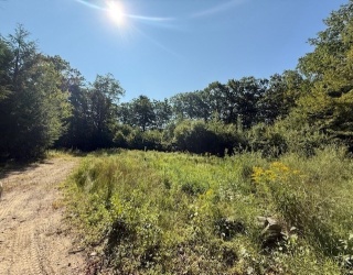 149 Bragg Hill Rd, Westminster, Massachusetts, ,Land,For Sale,Bragg Hill Rd,73474128