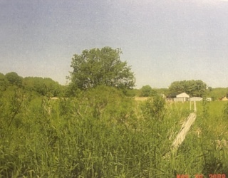 0 Wheaton Avenue, Rehoboth, Massachusetts, ,Land,For Sale,Wheaton Avenue,73474752