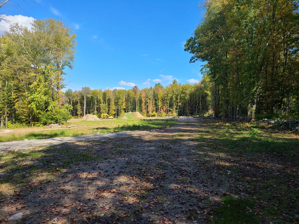 111 Elm Street, Auburn, Massachusetts, ,Land,For Sale,Elm Street,73474637