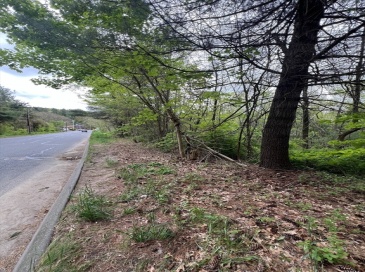 Lots 39-42 Lawrence, Palmer, Massachusetts, ,Land,For Sale,Lawrence,73474979