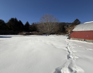 13 Maple Ave, Erving, Massachusetts, ,Land,For Sale,Maple Ave,73475079