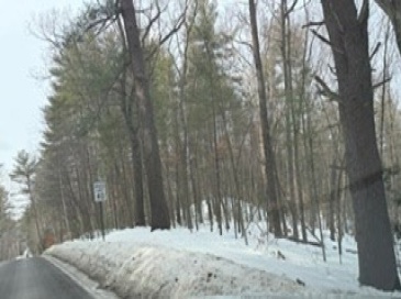 Lot B Willow Road, Boxford, Massachusetts, ,Land,For Sale,Willow Road,73475106