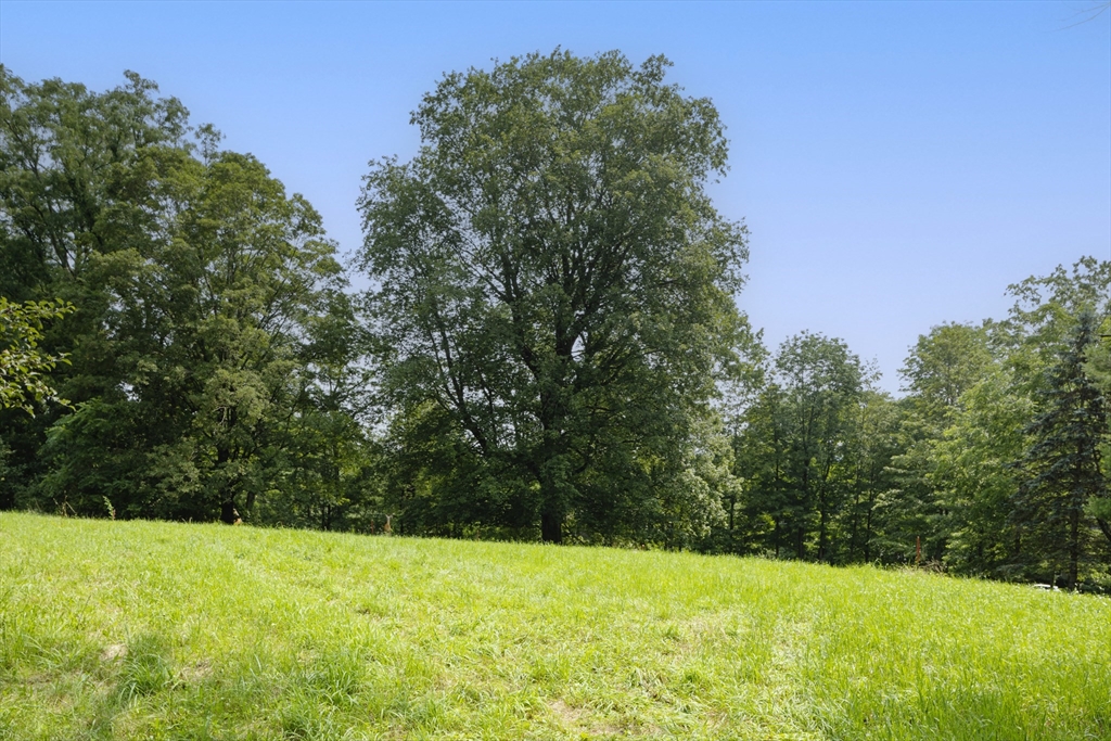 0 Willard Common/Nashawtuc Lot 2, Concord, Massachusetts, ,Land,For Sale,Willard Common/Nashawtuc Lot 2,73475108