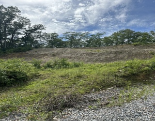 33 Walsh Ave, Auburn, Massachusetts, ,Land,For Sale,Walsh Ave,73475178