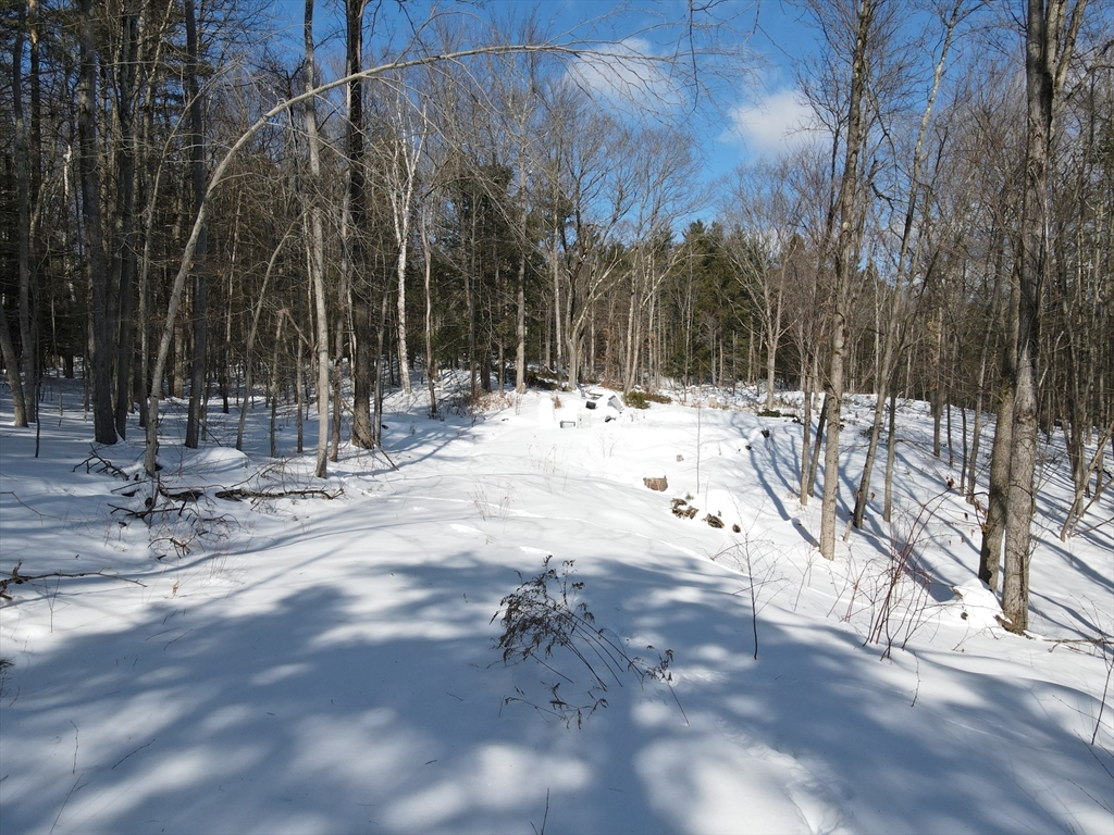 0 Fox Hill Rd, Bernardston, Massachusetts, ,Land,For Sale,Fox Hill Rd,73477185
