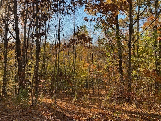 539 Fox Hill Road, Bernardston, Massachusetts, ,Land,For Sale,Fox Hill Road,73477350