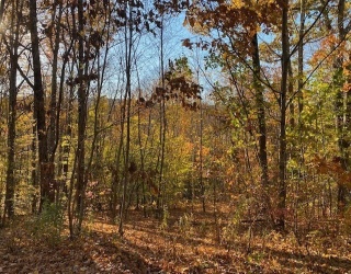 539 Fox Hill Road, Bernardston, Massachusetts, ,Land,For Sale,Fox Hill Road,73477350