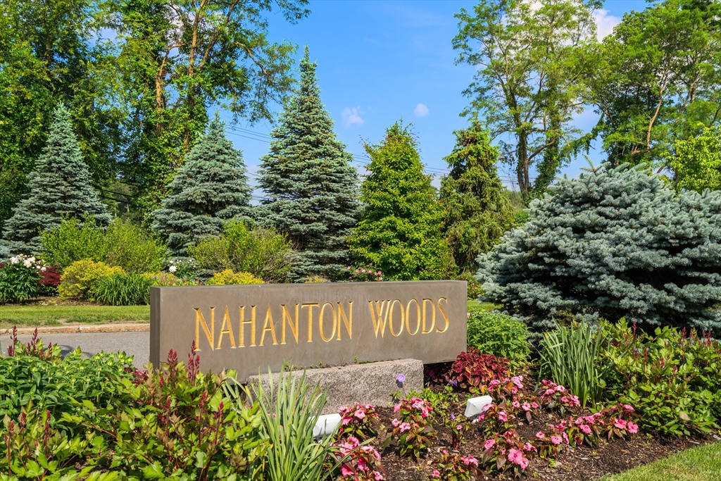 210 Nahanton Street, Newton, Massachusetts, 2 Bedrooms Bedrooms, 4 Rooms Rooms,2 BathroomsBathrooms,Residential,For Sale,Nahanton Street,73402434