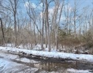 68 Gisele's Way, New Bedford, Massachusetts, ,Land,For Sale,Gisele's Way,73478466