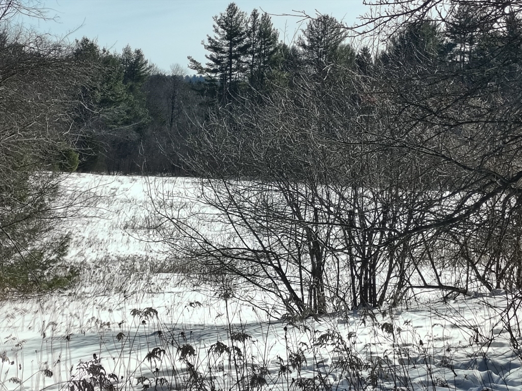 00 Capen/ Clark Road, Worthington, Massachusetts, ,Land,For Sale,Capen/ Clark Road,73478971