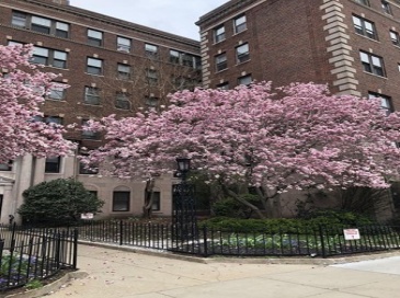 2003 Commonwealth Ave, Boston, Massachusetts, 1 Bedroom Bedrooms, 3 Rooms Rooms,1 BathroomBathrooms,Residential Lease,For Rent,Commonwealth Ave,73469628