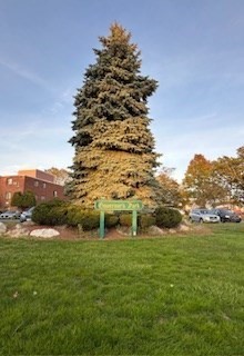 800 Governors Drive, Winthrop, Massachusetts, 2 Bedrooms Bedrooms, 4 Rooms Rooms,1 BathroomBathrooms,Residential,For Sale,Governors Drive,73445405