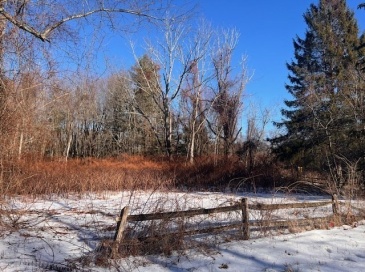 140V Beebe Rd, Monson, Massachusetts, ,Land,For Sale,Beebe Rd,73466646