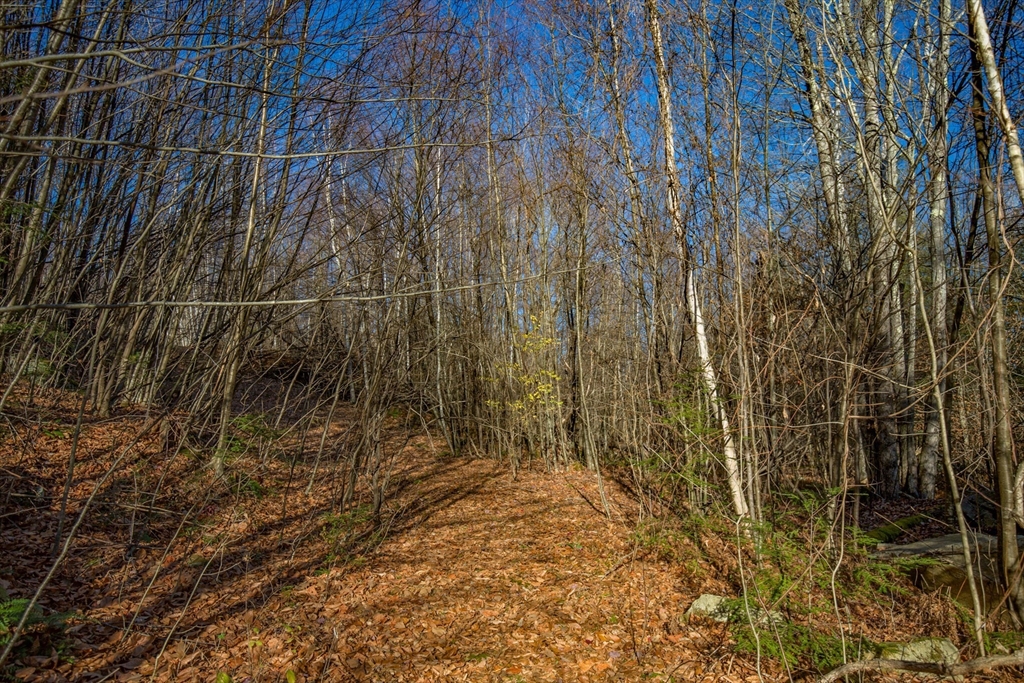0 Goose Pond Road, Tyringham, Massachusetts, ,Land,For Sale,Goose Pond Road,73479862