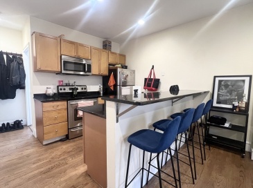 233 Northampton, Boston, Massachusetts, 4 Bedrooms Bedrooms, 9 Rooms Rooms,2 BathroomsBathrooms,Residential Lease,For Rent,Northampton,73480156