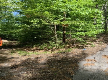 0 Arn-How Farm Rd, Fitchburg, Massachusetts, ,Land,For Sale,Arn-How Farm Rd,73480534 0 Arn-How Farm Rd, Fitchburg, Massachusetts, ,Land,For Sale,Arn-How Farm Rd,73480534