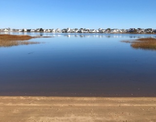 5 Cinder Ave, Newbury, Massachusetts, ,Land,For Sale,Cinder Ave,73480675