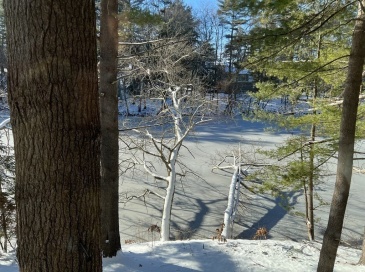 24 Old Mill Rd, Concord, Massachusetts, 1 Bedroom Bedrooms, 4 Rooms Rooms,1 BathroomBathrooms,Residential Lease,For Rent,Old Mill Rd,73475954