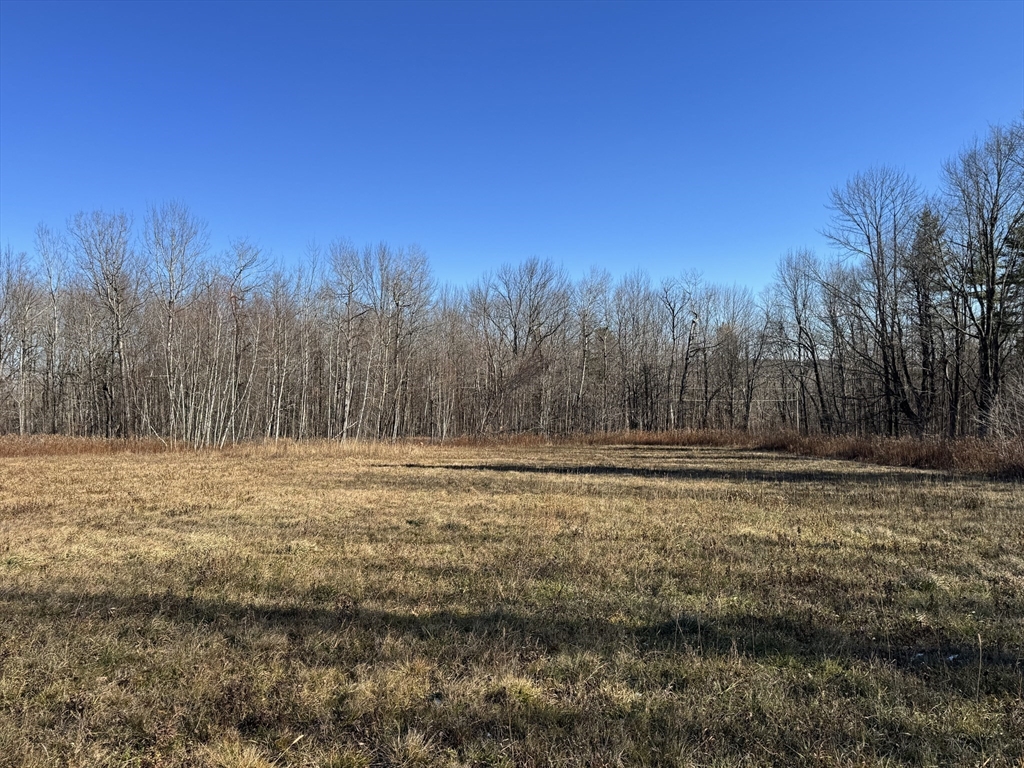 0 East Hawley Road, Hawley, Massachusetts, ,Land,For Sale,East Hawley Road,73456358