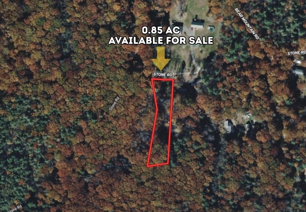 57 Stone Rd, Wendell, Massachusetts, ,Land,For Sale,Stone Rd,73481093