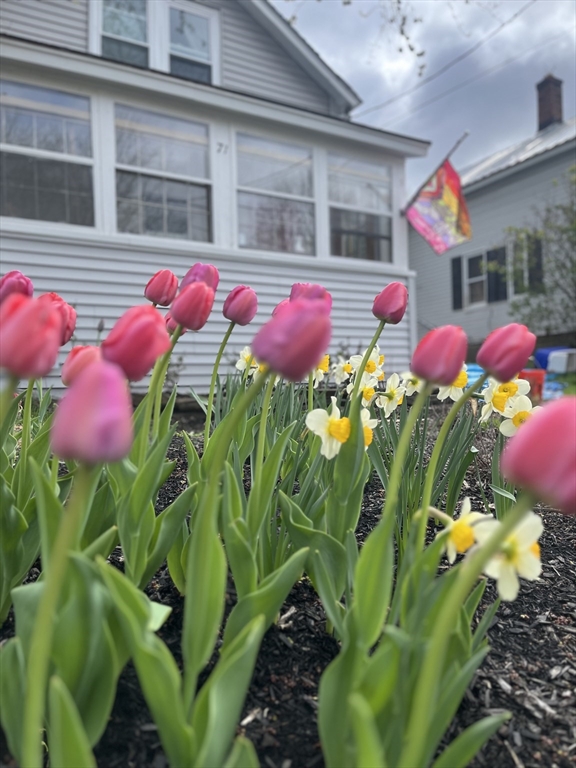 71 Washington St, Greenfield, Massachusetts, 2 Bedrooms Bedrooms, 5 Rooms Rooms,1 BathroomBathrooms,Residential,For Sale,Washington St,73481228