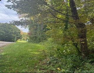 2 Spring St, Hardwick, Massachusetts, ,Land,For Sale,Spring St,73426917