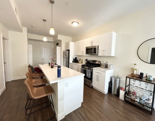 81 Amory St, Boston, Massachusetts, 3 Bedrooms Bedrooms, 6 Rooms Rooms,2 BathroomsBathrooms,Residential Lease,For Rent,Amory St,73482973