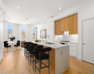 80 Terrace Street, Boston, Massachusetts, 2 Bedrooms Bedrooms, 5 Rooms Rooms,2 BathroomsBathrooms,Residential,For Sale,Terrace Street,73483228